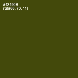 #42490B - Bronze Olive Color Image