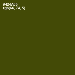 #424A05 - Bronze Olive Color Image
