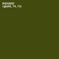 #424A0D - Bronze Olive Color Image