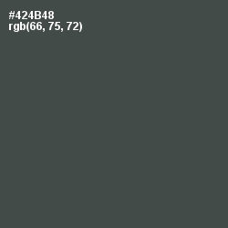 #424B48 - Gravel Color Image