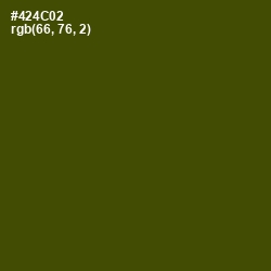 #424C02 - Bronze Olive Color Image