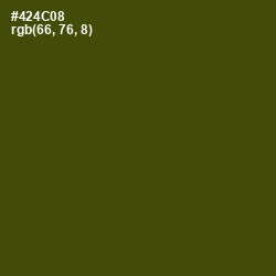 #424C08 - Bronze Olive Color Image