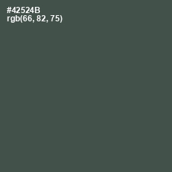#42524B - Gray Asparagus Color Image