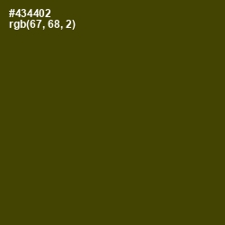 #434402 - Bronze Olive Color Image