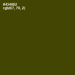 #434602 - Bronze Olive Color Image