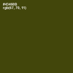 #43460B - Bronze Olive Color Image
