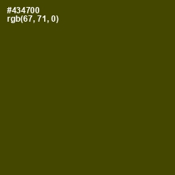 #434700 - Bronze Olive Color Image