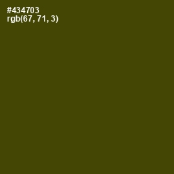 #434703 - Bronze Olive Color Image