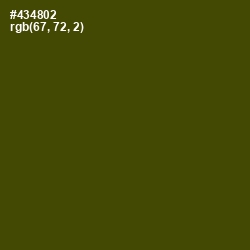 #434802 - Bronze Olive Color Image