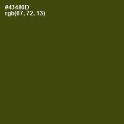 #43480D - Bronze Olive Color Image