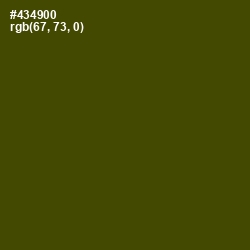 #434900 - Bronze Olive Color Image