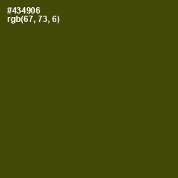 #434906 - Bronze Olive Color Image