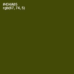 #434A05 - Bronze Olive Color Image
