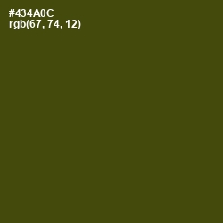 #434A0C - Bronze Olive Color Image