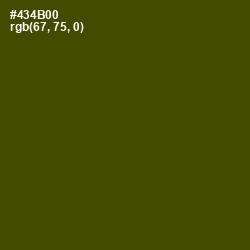 #434B00 - Bronze Olive Color Image