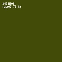 #434B08 - Bronze Olive Color Image