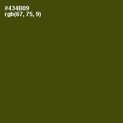 #434B09 - Bronze Olive Color Image