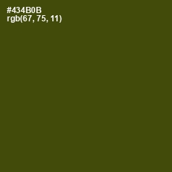 #434B0B - Bronze Olive Color Image