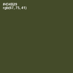 #434B29 - Woodland Color Image