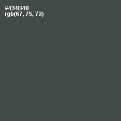 #434B48 - Gravel Color Image