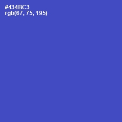 #434BC3 - Indigo Color Image