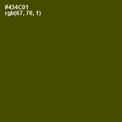 #434C01 - Bronze Olive Color Image