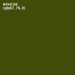 #434C08 - Bronze Olive Color Image