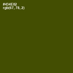 #434E02 - Bronze Olive Color Image
