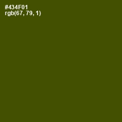 #434F01 - Bronze Olive Color Image