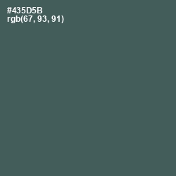 #435D5B - Nandor Color Image