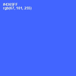 #4365FF - Royal Blue Color Image