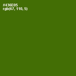 #436E05 - Green Leaf Color Image