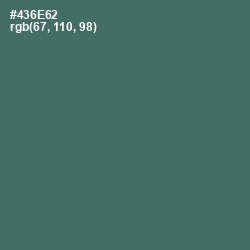 #436E62 - Como Color Image