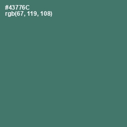 #43776C - Faded Jade Color Image