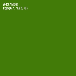 #437B08 - Green Leaf Color Image