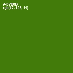 #437B0B - Green Leaf Color Image