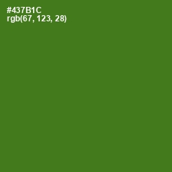 #437B1C - Green Leaf Color Image