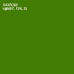 #437C02 - Green Leaf Color Image