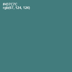 #437C7C - Faded Jade Color Image