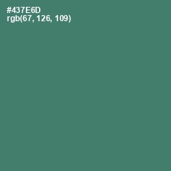 #437E6D - Faded Jade Color Image