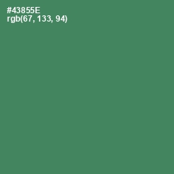 #43855E - Hippie Green Color Image