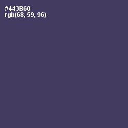 #443B60 - Voodoo Color Image