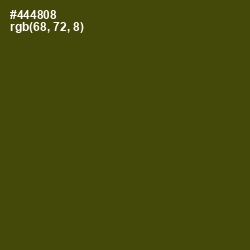 #444808 - Bronze Olive Color Image
