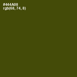 #444A08 - Bronze Olive Color Image