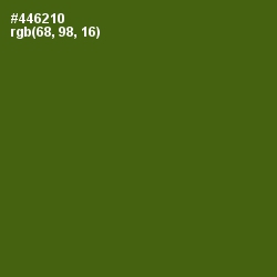 #446210 - Green Leaf Color Image