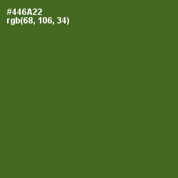 #446A22 - Chalet Green Color Image