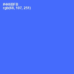 #446BFB - Royal Blue Color Image