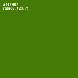 #447B07 - Green Leaf Color Image