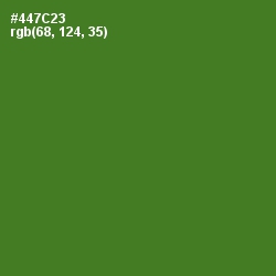 #447C23 - Chalet Green Color Image