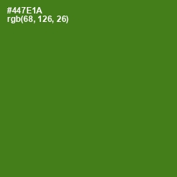 #447E1A - Green Leaf Color Image